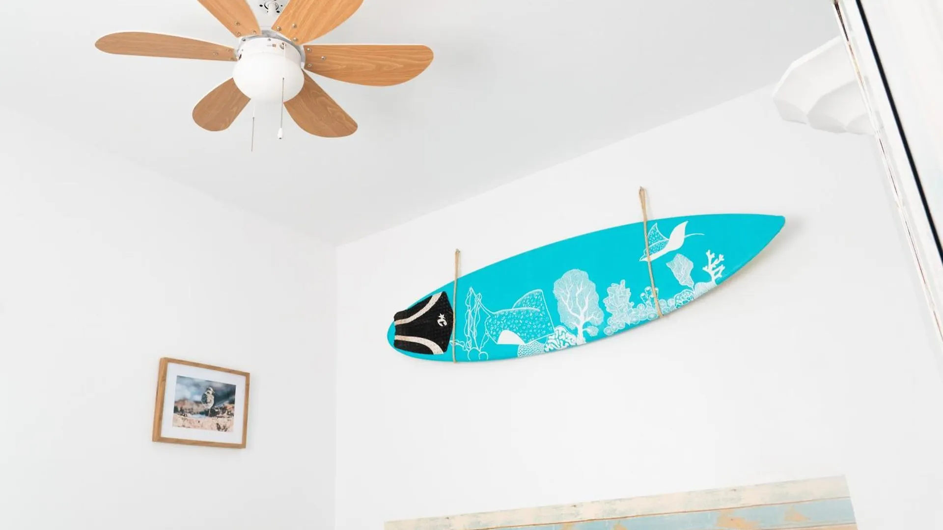 Daydream Medano Coliving Hostel El Medano